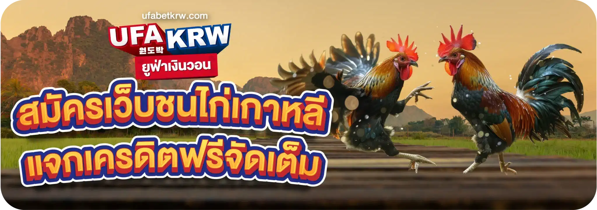 สมัครเว็บชนไก่เกาหลี แจกเครดิตฟรีจัดเต็ม
