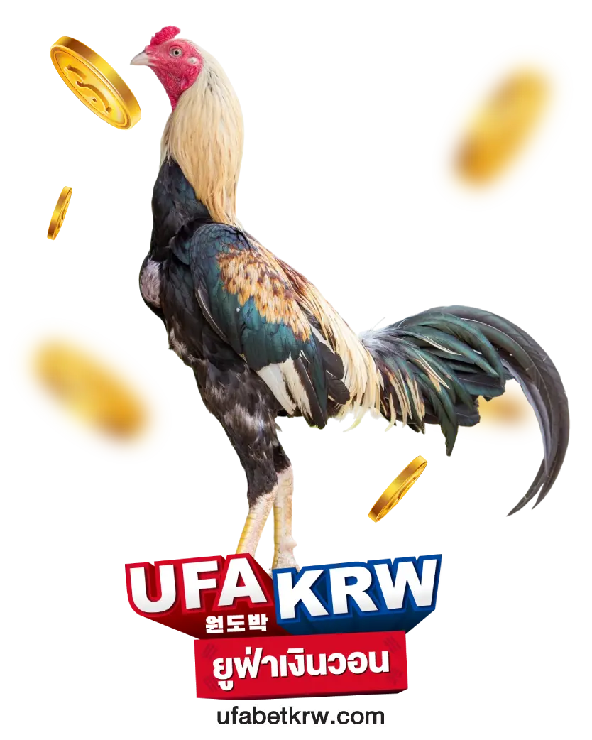 ufabetkrw ยูฟ่าเงินวอน